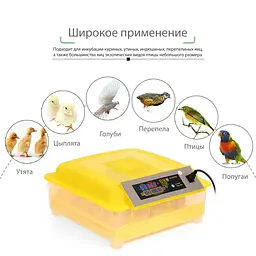 Інкубатор автоматичний HHD YS-56 на 56 яєць з регулятором вологості (в пластиковому корпусі) 83026 - мініатюра 5