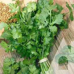 Кінза (коріандр) Садиба Марокканська 10 г