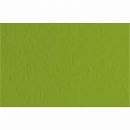 Папір для пастелі Tiziano A4 (21x29,7см), №43 pistacch, 160г/м2, фісташковий, середнє зерно, Fabriano 16F4143