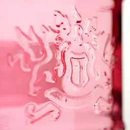 Уцінка. Джин Finsbury Wild Strawberry 37.5% 0.7 л - мініатюра 4