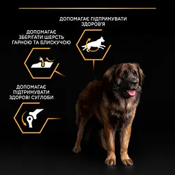 Сухий корм для дорослих собак великих порід Purina Pro Plan Large Robust Adult з куркою 14 кг (12375799) - мініатюра 8