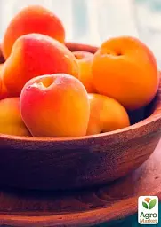 Саджанець Agro-Market Абрикос Ерлі Оранж (літній сорт, ранній термін дозрівання) 1 шт. в упаковці (21280) - мініатюра 6
