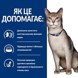 Сухий корм Hill's Prescription Diet k/d для котів підтримання функції нірок, з куркою, 8 кг - мініатюра 5