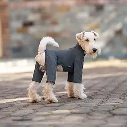 Базовий комбінезон/піжама для собак V.PET.B.R. Dog Jumpsuit CF36 Dark Grey - мініатюра 3