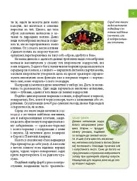 Тварини - майстри маскування. Енциклопедія для допитливих - Андрій Гапченко - мініатюра 5