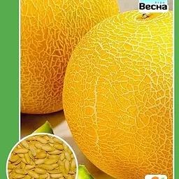 Диня "Дубівка" ТМ "Весна" 1.5г (10129)