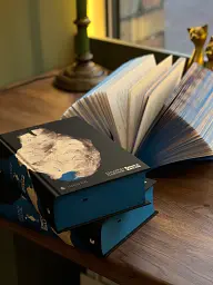 Книга Еміля - Ілларіон Павлюк - миниатюра 11