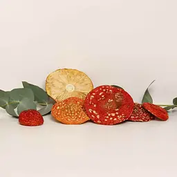 Капелюшок Amanita store мухомора червоного сушений цілий 100