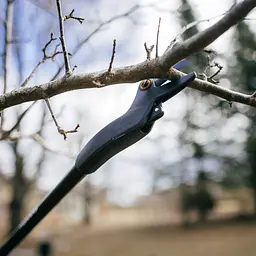 Гілкоріз садовий універсальний Fiskars Solid UP 69 (1073082) - мініатюра 10