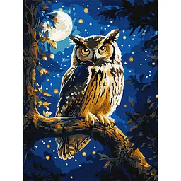Картина за номерами "Нічна сова" art_selena_ua KHO6681 з фарбами металiк 30х40 см
