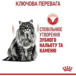 Сухий корм для котів Royal Canin Dental Care, для профілактики утворення зубного нальоту, 400 г (2532004) - мініатюра 6