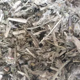 100 г астрагал шерстистоквітковий трава сушена - свіжий урожай