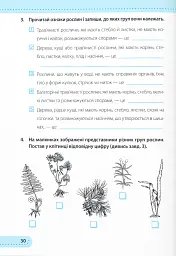 Я досліджую світ. 3 клас. Робочий зошит (до підручника Н. Бібік) - Лариса Мечник - мініатюра 7