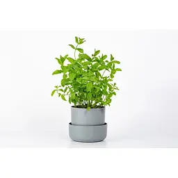 Вазон із піддоном Plastia Tolita, 2,2 л, сірий (1707281920R) - мініатюра 8