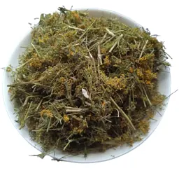 Підмаренник справжній Трава Ботожки Гусятник Galium verum - мініатюра 2