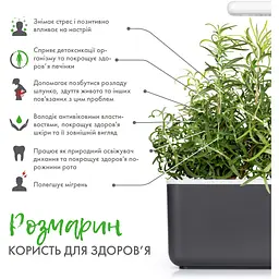 Змінний картридж Click & Grow Smart Garden Розмарин, 3 капсули (8936) - мініатюра 4