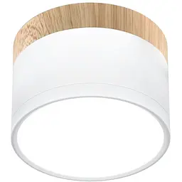 Точковий світильник Candellux 2273648 TUBA