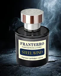 Парфум чоловічий Franterro Steel Wind 50 мл (FRN-1009)