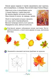 Мистецтво. Підручник інтегрованого курсу для 2 класу - мініатюра 15