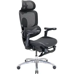 Офисное кресло Sihoo C300 LITE V2, Black, с подставкой для ног (C300-LITE-V2-B101-JT)