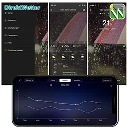 Метеостанція Technoline DirektWetter WD2000 Silver (WD2000), Сріблястий - мініатюра 7