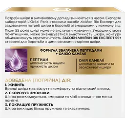 Нічний крем проти зморщок L'oreal Paris Вік експерт 55+ відновлювальний, 50 мл (A8126300) - мініатюра 4