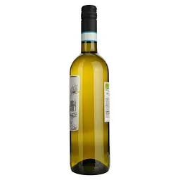 Вино Fidora Pinot Grigio Organic Venezia DOC, біле, напівсухе, 0,75 л - мініатюра 2