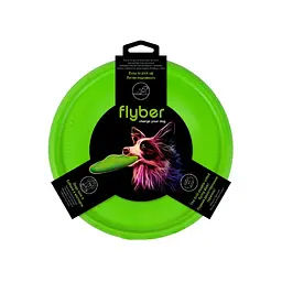 Летюча тарілка Flyber