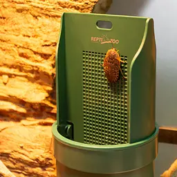 Підвісна годівниця для рептилій Repti-Zoo Arboreal Feeding Dish 20см (ERB28) - мініатюра 7