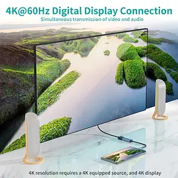Перехідник USB 3.1 Type-C --> Displayport F 4K 60Hz Choetech серій - мініатюра 3