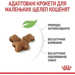 Сухий корм для кошенят Royal Canin Kitten м'ясо птиці та рис 0.4 кг - мініатюра 5