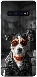 TPU чохол Demsky Jack rassel для Samsung Galaxy S10