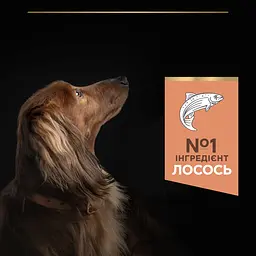 Сухий корм Purina Pro Plan Small & Mini Adult 1+ Sensitive Skin для дорослих собак дрібних порід з чутливою шкірою з лососем 7 кг (12392233) - мініатюра 7