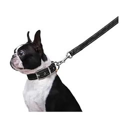 Повідець для собак Dog Extreme з нейлону подвійний Ш 20 мм Д 122 см чорний (42981) - мініатюра 4