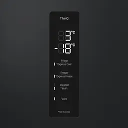 Холодильник LG GW-B509FXFW - мініатюра 12