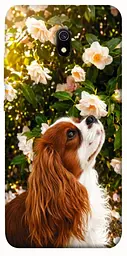 TPU чохол Demsky Flower spaniel для Xiaomi Redmi 8a