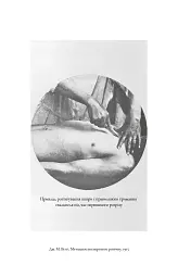 По сліду Джека-Різника. Книга 1: По сліду Джека-Різника - Керрі Маніскалко - мініатюра 8