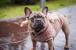 Кофта Smart Pet Bamby - мініатюра 2