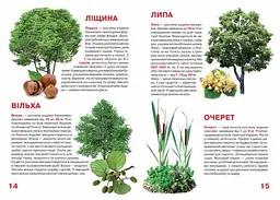 Велика книга Кристал Бук Рослинний світ України (F00012692) - мініатюра 3