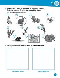 Macmillan Science. Level 1. Workbook - мініатюра 4