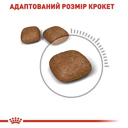 Сухий корм для дорослих кішок Royal Canin Urinary Care для профілактики сечокам'яної хвороби 0.4 кг (1800004) - мініатюра 5