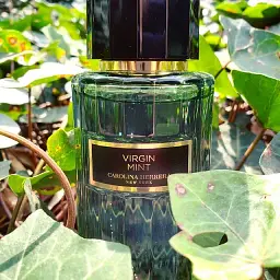 Тестер туалетнлї води Virgin Mint 100 ml - мініатюра 2