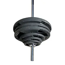 Штанга домашня Newt Home TI-0201-180-83 83 кг - мініатюра 4
