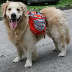 Сумка-переноска для собак з передньою частиною для бігу Lovoyager Dog Bagpack L Червоний - мініатюра 7