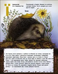 Живий світ України. Тварини та їх родичі в природі й у книжках - Наталія Коваль - мініатюра 5