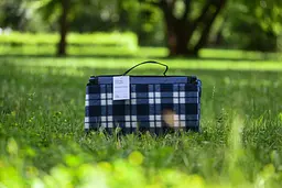 Плед Ardesto Picnic 130х170 см 100% поліестер клітинка синій (ART0916BC) - мініатюра 6