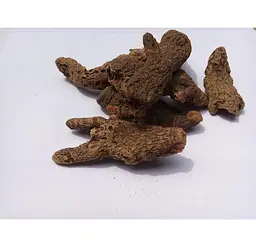 Ірис болотяний Півники Корінь Iris pseudacorus