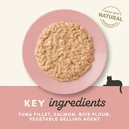 Консервований корм для літніх котів Applaws Senior Tuna Fillet with Salmon з тунцем та лососем 70 г - мініатюра 3