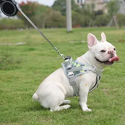 Нагрудна шлея для собак Reflective safety chest harness for pet dogs, S Зелений - мініатюра 2