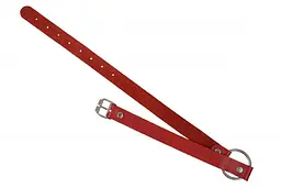 Кляп Leather O-Ring Gag Red від sLash - мініатюра 2
